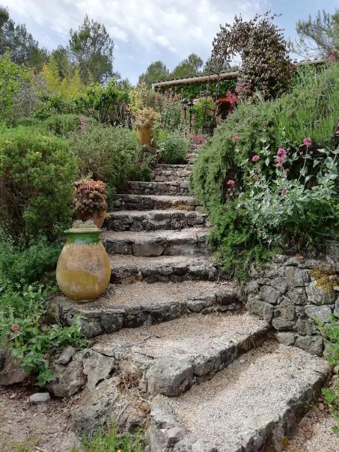 Chambre D'Hote Le Mas Des Romarins Les Arcs-sur-Argens Dış mekan fotoğraf