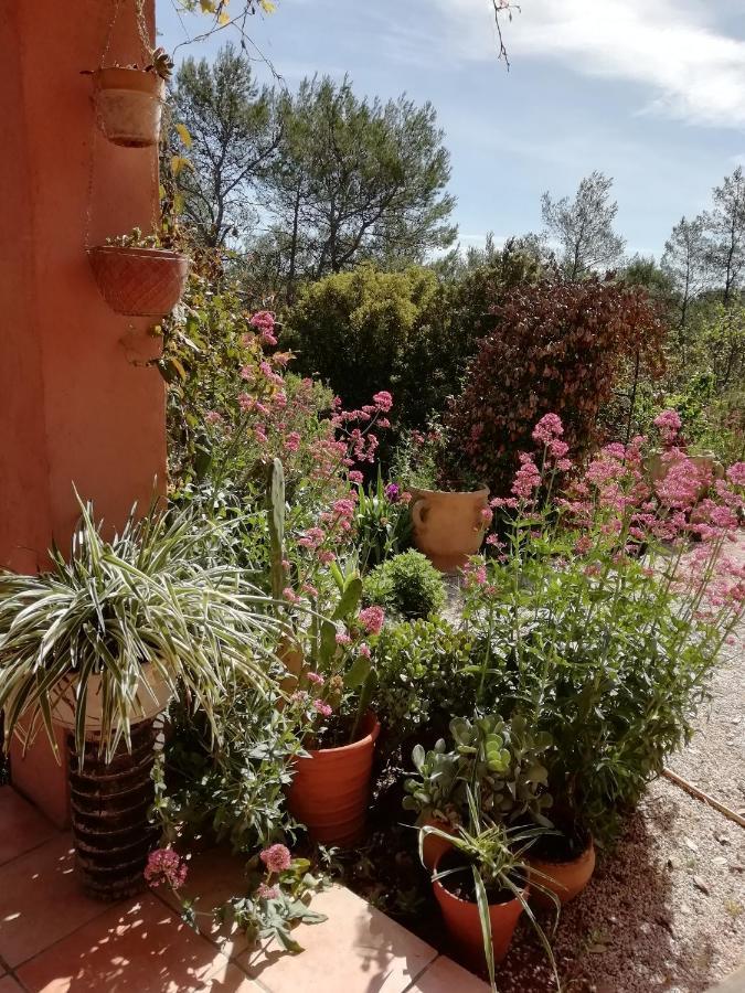 Chambre D'Hote Le Mas Des Romarins Les Arcs-sur-Argens Dış mekan fotoğraf