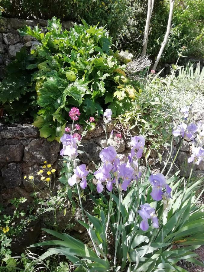 Chambre D'Hote Le Mas Des Romarins Les Arcs-sur-Argens Dış mekan fotoğraf