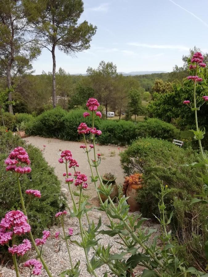 Chambre D'Hote Le Mas Des Romarins Les Arcs-sur-Argens Dış mekan fotoğraf